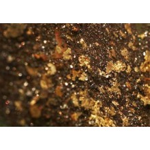 铂思特含铜金精矿的选冶工艺，从含铜金精矿中浸出金银铜